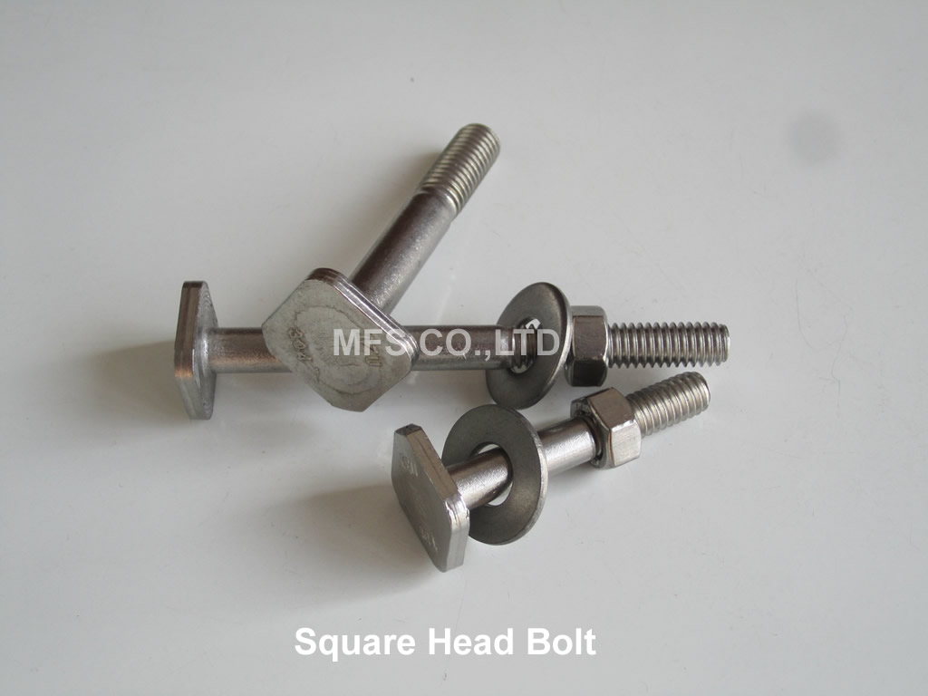 Square Head Bolt