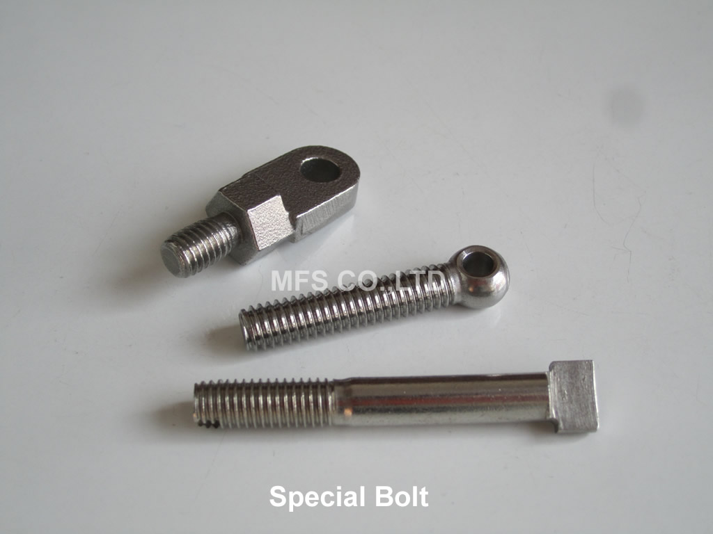 Special Bolt