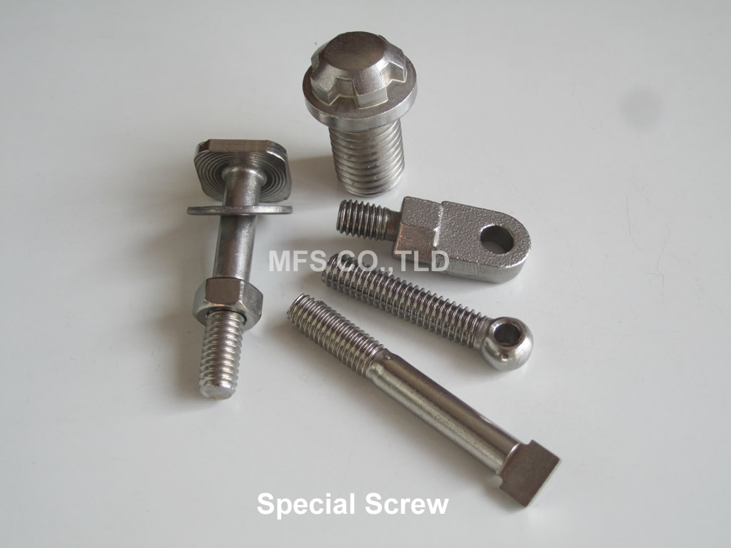 China Special Screw
